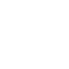 Steam